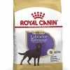 Royal Canin - Croquettes Labrador Pour Chien Stérilisé - 12Kg