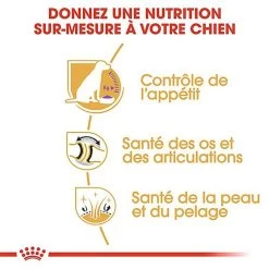 Royal Canin - Croquettes Labrador Pour Chien Stérilisé - 12Kg -Pet Soldes 67588