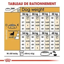 Royal Canin - Croquettes Labrador Pour Chien Stérilisé - 12Kg -Pet Soldes 67589