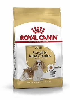 Royal Canin - Croquettes Cavalier King Charles Pour Chien Adulte
