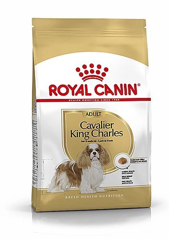 Royal Canin - Croquettes Cavalier King Charles Pour Chien Adulte 1 Royal Canin - Croquettes Cavalier King Charles Pour Chien Adulte