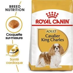 Royal Canin - Croquettes Cavalier King Charles Pour Chien Adulte 13 Royal Canin - Croquettes Cavalier King Charles Pour Chien Adulte -Pet Soldes 67593