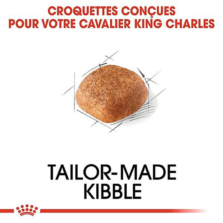 Royal Canin - Croquettes Cavalier King Charles Pour Chien Adulte 6 Royal Canin - Croquettes Cavalier King Charles Pour Chien Adulte – Image 6