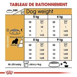Royal Canin - Croquettes Cavalier King Charles Pour Chien Adulte 16 Royal Canin - Croquettes Cavalier King Charles Pour Chien Adulte -Pet Soldes 67596