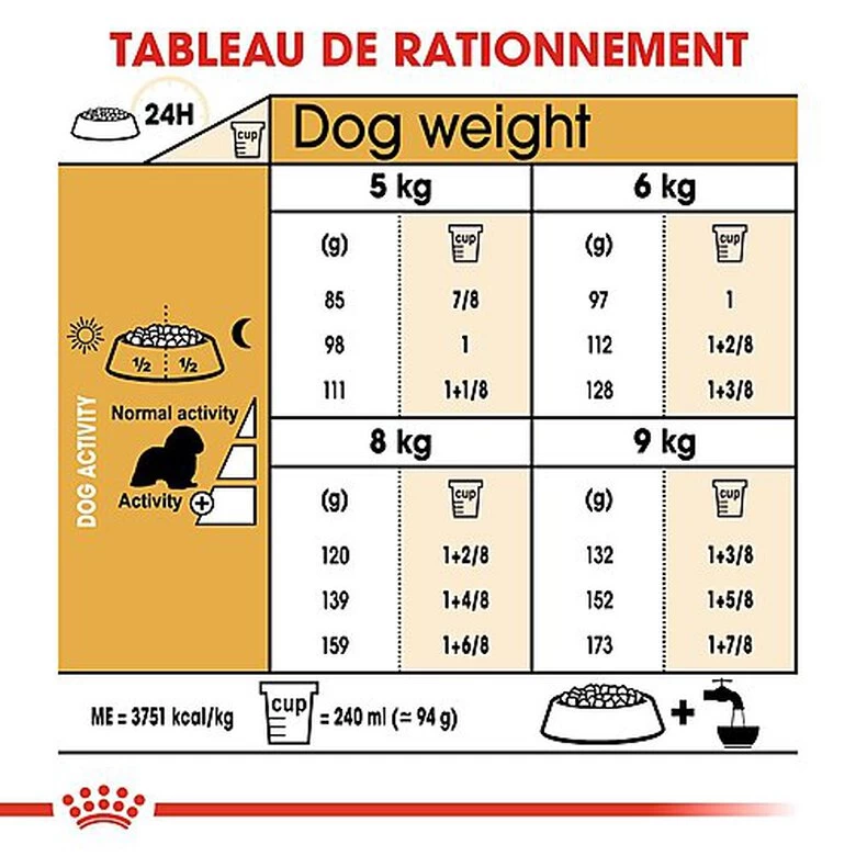 Royal Canin - Croquettes Cavalier King Charles Pour Chien Adulte 8 Royal Canin - Croquettes Cavalier King Charles Pour Chien Adulte – Image 8