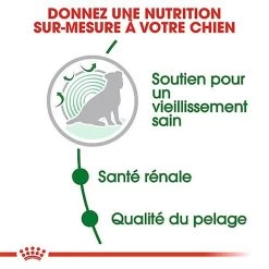 Royal Canin - Croquettes Mini Ageing 12+ Pour Chien Senior - 3,5Kg 10 Royal Canin - Croquettes Mini Ageing 12+ Pour Chien Senior - 3,5Kg -Pet Soldes 67646