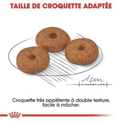 Royal Canin - Croquettes Mini Ageing 12+ Pour Chien Senior - 3,5Kg 11 Royal Canin - Croquettes Mini Ageing 12+ Pour Chien Senior - 3,5Kg -Pet Soldes 67647