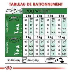 Royal Canin - Croquettes Mini Ageing 12+ Pour Chien Senior - 3,5Kg 12 Royal Canin - Croquettes Mini Ageing 12+ Pour Chien Senior - 3,5Kg -Pet Soldes 67648