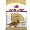 Royal Canin - Croquettes Cocker Pour Chien Adulte