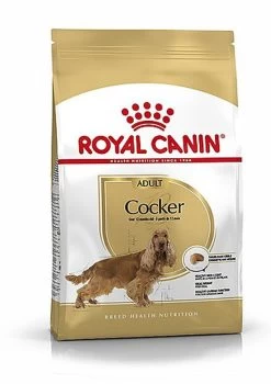 Royal Canin - Croquettes Cocker Pour Chien Adulte