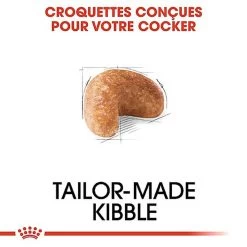 Royal Canin - Croquettes Cocker Pour Chien Adulte -Pet Soldes 67780
