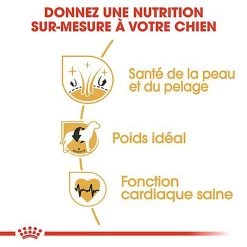 Royal Canin - Croquettes Cocker Pour Chien Adulte -Pet Soldes 67781