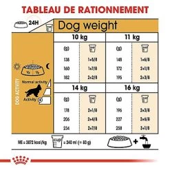 Royal Canin - Croquettes Cocker Pour Chien Adulte -Pet Soldes 67782