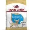 Royal Canin - Croquettes Chihuahua Junior Pour Chiot - 1,5Kg