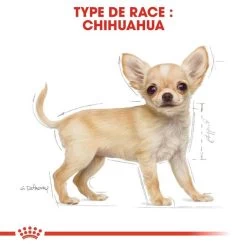 Royal Canin - Croquettes Chihuahua Junior Pour Chiot - 1,5Kg -Pet Soldes 67804