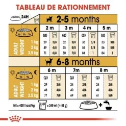 Royal Canin - Croquettes Chihuahua Junior Pour Chiot - 1,5Kg -Pet Soldes 67805