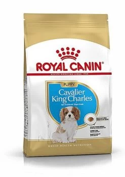Royal Canin - Croquettes Cavalier King Charles Junior Pour Chiot - 1,5Kg