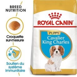 Royal Canin - Croquettes Cavalier King Charles Junior Pour Chiot - 1,5Kg -Pet Soldes 67809