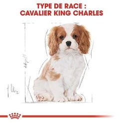 Royal Canin - Croquettes Cavalier King Charles Junior Pour Chiot - 1,5Kg -Pet Soldes 67812