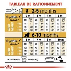 Royal Canin - Croquettes Cavalier King Charles Junior Pour Chiot - 1,5Kg -Pet Soldes 67813