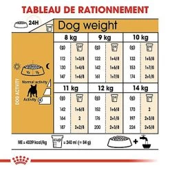 Royal Canin - Croquettes Bouledogue Français Adulte Pour Chien - 9Kg -Pet Soldes 68001