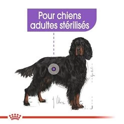 Royal Canin - Croquettes Maxi Sterilised Pour Chien Adulte Stérilisé - 3Kg 10 Royal Canin - Croquettes Maxi Sterilised Pour Chien Adulte Stérilisé - 3Kg -Pet Soldes 68021
