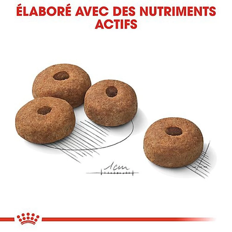Royal Canin - Croquettes Maxi Sterilised Pour Chien Adulte Stérilisé - 3Kg 5 Royal Canin - Croquettes Maxi Sterilised Pour Chien Adulte Stérilisé - 3Kg – Image 5