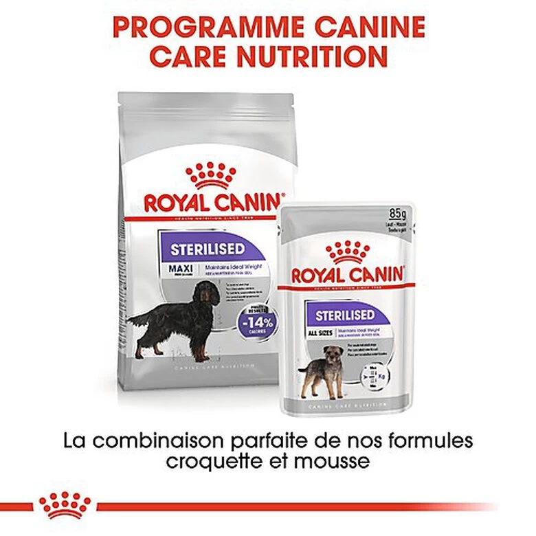 Royal Canin - Croquettes Maxi Sterilised Pour Chien Adulte Stérilisé - 3Kg 6 Royal Canin - Croquettes Maxi Sterilised Pour Chien Adulte Stérilisé - 3Kg – Image 6