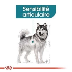 Royal Canin - Croquettes Maxi Joint Care Pour Chien - 10Kg -Pet Soldes 68091