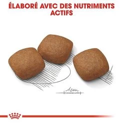 Royal Canin - Croquettes Maxi Joint Care Pour Chien - 10Kg -Pet Soldes 68092