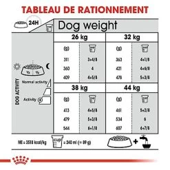 Royal Canin - Croquettes Maxi Joint Care Pour Chien - 10Kg -Pet Soldes 68093