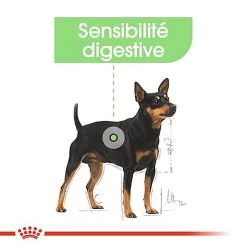 Royal Canin - Croquettes Mini Digestive Care Pour Chien - 3Kg -Pet Soldes 68122