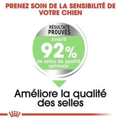 Royal Canin - Croquettes Mini Digestive Care Pour Chien - 3Kg -Pet Soldes 68123