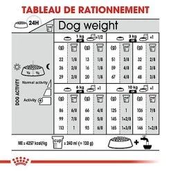 Royal Canin - Croquettes Mini Digestive Care Pour Chien - 3Kg -Pet Soldes 68126