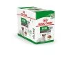 Royal Canin - Sachets Mini Ageing 12+ En Sauce Pour Chien - 12X85g