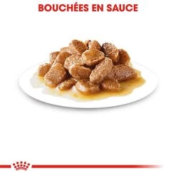 Royal Canin - Sachets Mini Ageing 12+ En Sauce Pour Chien - 12X85g -Pet Soldes 68354