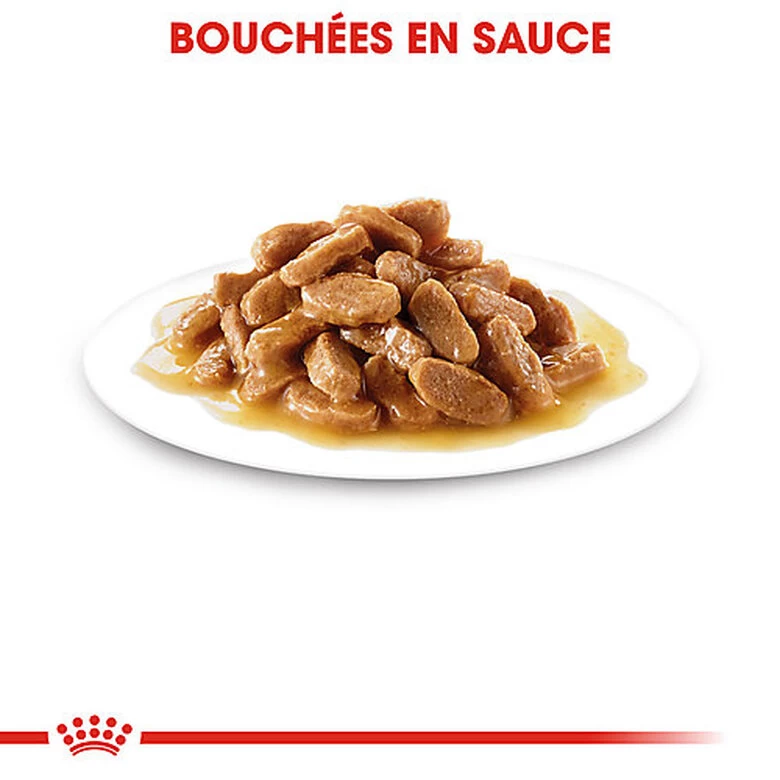 Royal Canin - Sachets Mini Puppy En Sauce Pour Chiot - 12X85g 5 Royal Canin - Sachets Mini Puppy En Sauce Pour Chiot - 12X85g – Image 5