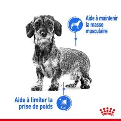 Royal Canin - Sachets Ultra Light En Mousse Pour Chien - 12X85g -Pet Soldes 68378
