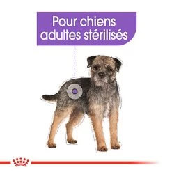 Royal Canin - Sachets Sterilised En Mousse Pour Chien - 12X85g -Pet Soldes 68383