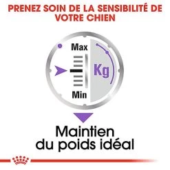 Royal Canin - Sachets Sterilised En Mousse Pour Chien - 12X85g -Pet Soldes 68385