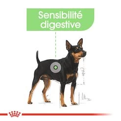 Royal Canin - Sachets Digestive Care En Mousse Pour Chien - 12X85g -Pet Soldes 68392