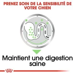 Royal Canin - Sachets Digestive Care En Mousse Pour Chien - 12X85g -Pet Soldes 68393