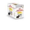 Royal Canin - Sachets Dermacomfort En Mousse Pour Chien - 12X85g