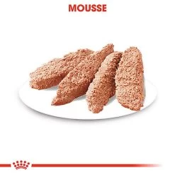 Royal Canin - Sachets Dermacomfort En Mousse Pour Chien - 12X85g -Pet Soldes 68400