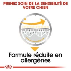 Royal Canin - Sachets Dermacomfort En Mousse Pour Chien - 12X85g -Pet Soldes 68401