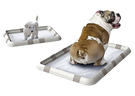 Animalis - Cadre Tapis Educateur Pour Chien - 32cm 1 Animalis - Cadre Tapis Educateur Pour Chien - 32cm