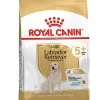 Royal Canin - Croquettes Labrador Adult 5+ Pour Chien - 12Kg