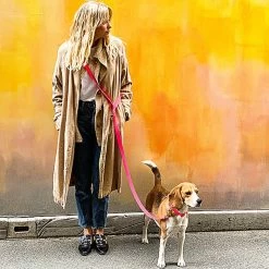 Pop Dog - Collier Glouton Rose Pour Chien - S 6 Pop Dog - Collier Glouton Rose Pour Chien - S -Pet Soldes 68975