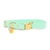 Pop Dog - Collier Swimmy Vert Pour Chien - S