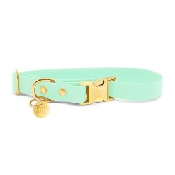 Pop Dog - Collier Swimmy Vert Pour Chien - S